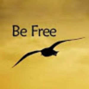 Meet your Posher, Hrudaya nikhitha